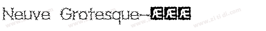 Neuve Grotesque字体转换